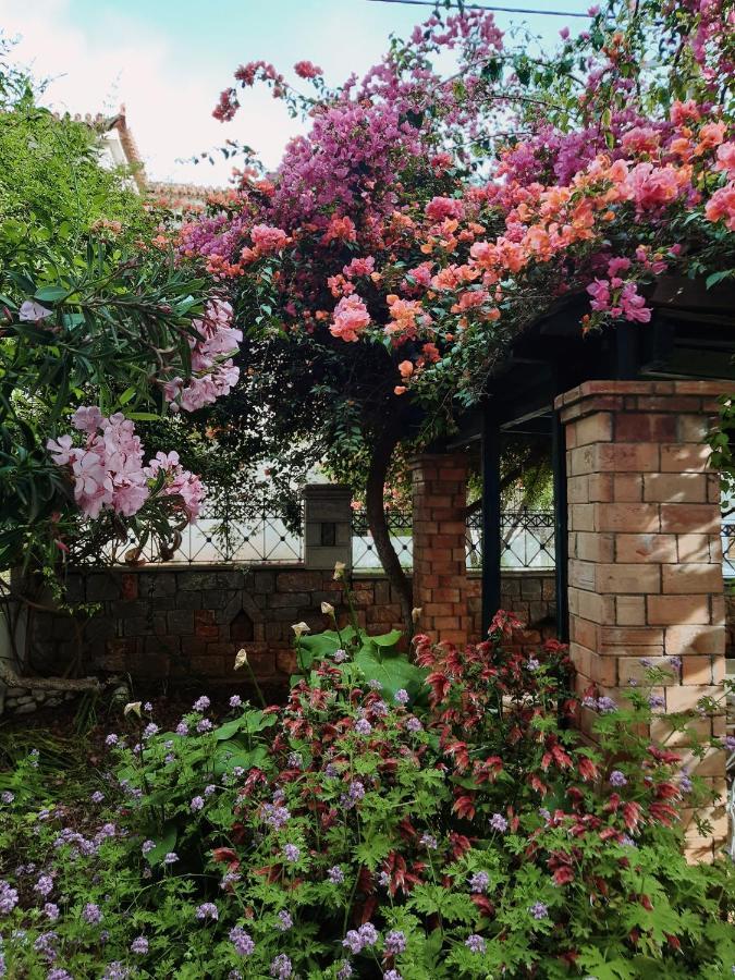 Veneto'S Garden Apartment การ์ดามมีลี ภายนอก รูปภาพ